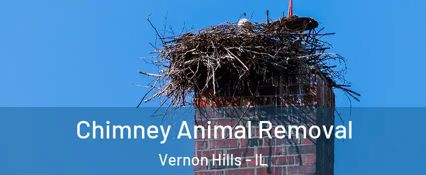  Chimney Animal Removal Vernon Hills - IL