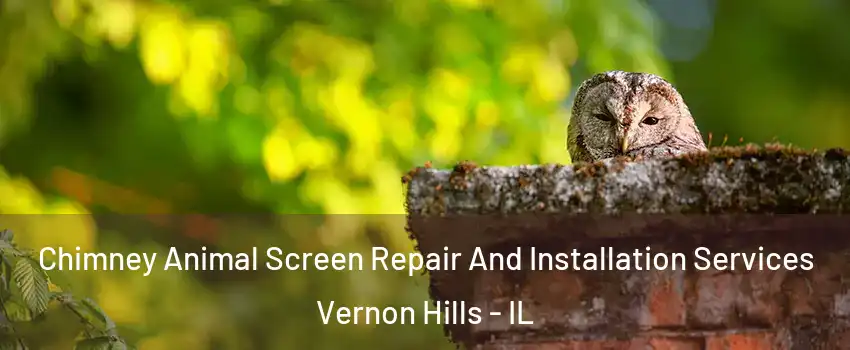  Chimney Animal Screen Repair And Installation Services Vernon Hills - IL