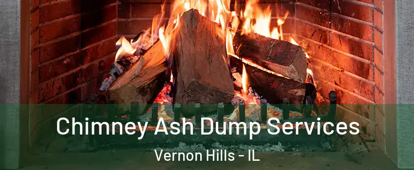  Chimney Ash Dump Services Vernon Hills - IL