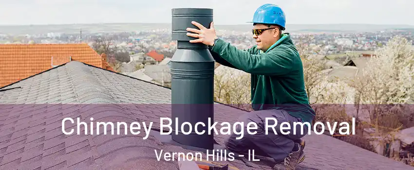  Chimney Blockage Removal Vernon Hills - IL