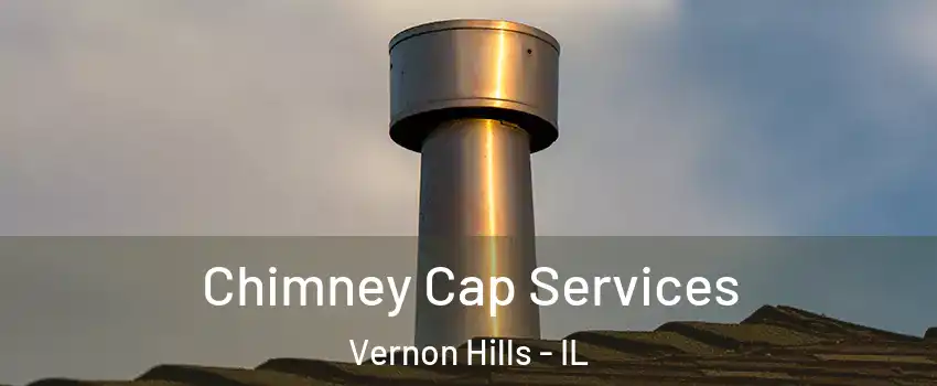  Chimney Cap Services Vernon Hills - IL