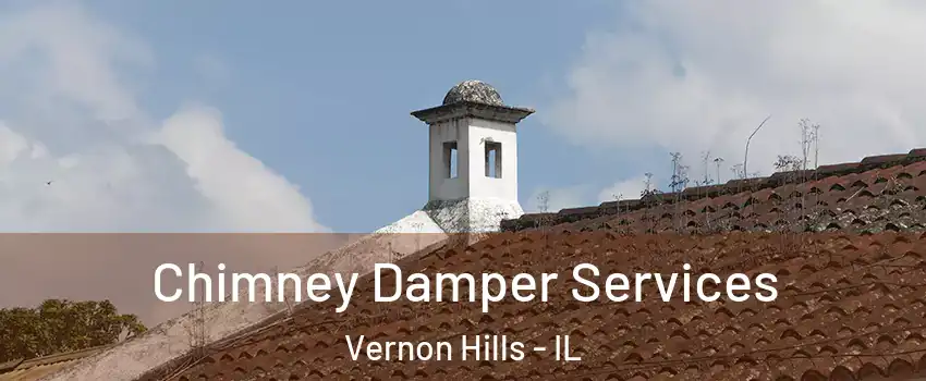  Chimney Damper Services Vernon Hills - IL
