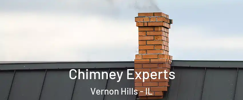  Chimney Experts Vernon Hills - IL