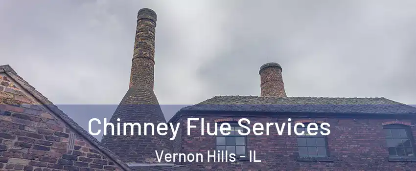  Chimney Flue Services Vernon Hills - IL
