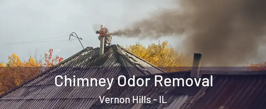  Chimney Odor Removal Vernon Hills - IL