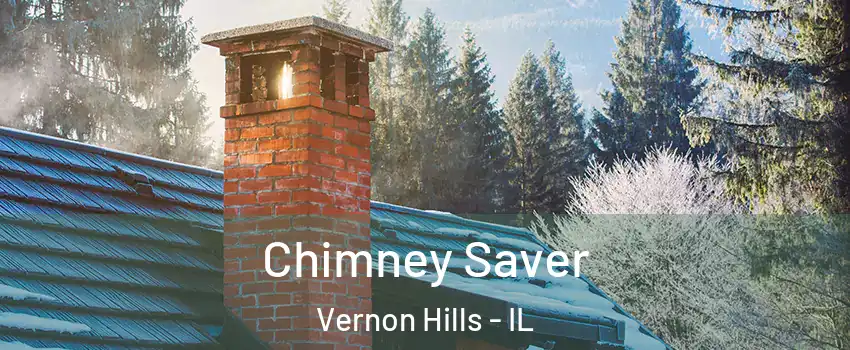  Chimney Saver Vernon Hills - IL