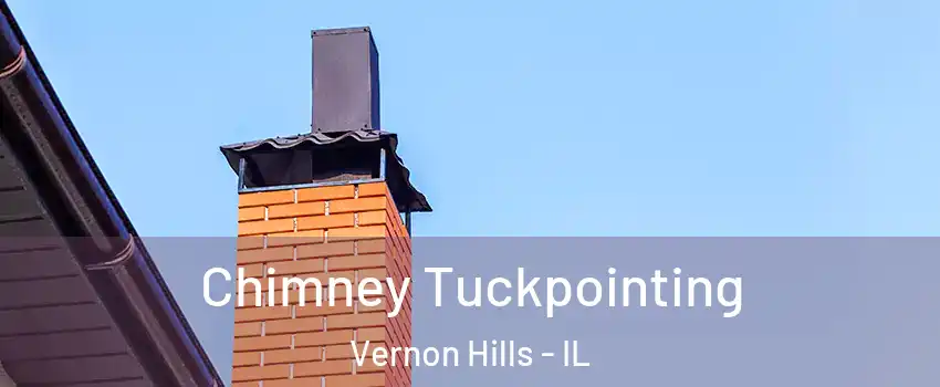  Chimney Tuckpointing Vernon Hills - IL