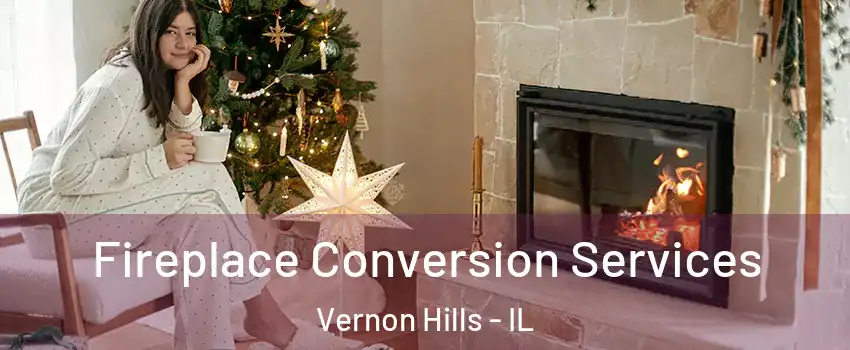  Fireplace Conversion Services Vernon Hills - IL
