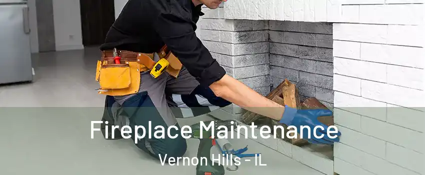  Fireplace Maintenance Vernon Hills - IL