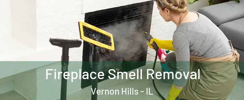  Fireplace Smell Removal Vernon Hills - IL