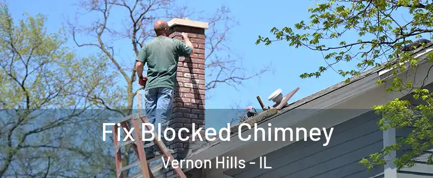  Fix Blocked Chimney Vernon Hills - IL