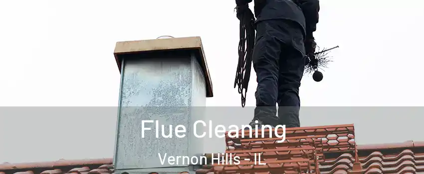  Flue Cleaning Vernon Hills - IL