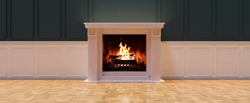Napoleon Electric Fireplaces Inspection Service in Vernon Hills, Illinois
