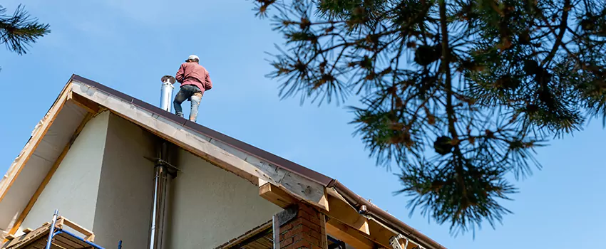 Birds Removal Contractors from Chimney in Vernon Hills, IL