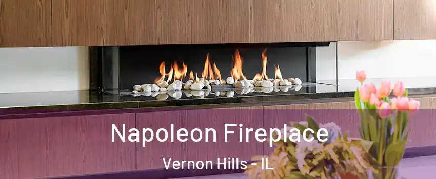  Napoleon Fireplace Vernon Hills - IL