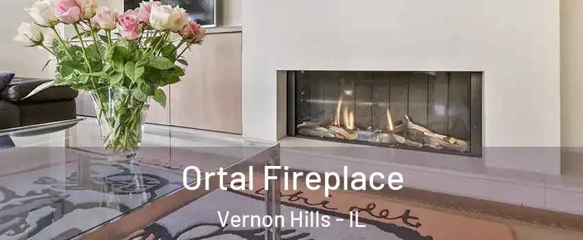  Ortal Fireplace Vernon Hills - IL